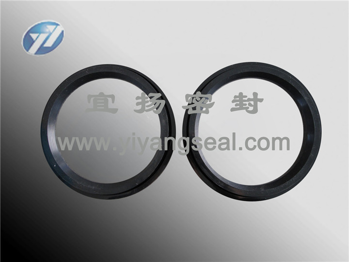 Seal ring for dome valve Seal ring for dome valve