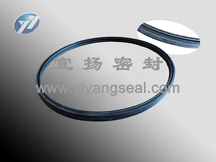 Oil seal